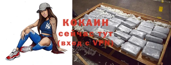 прущие грибы Волосово