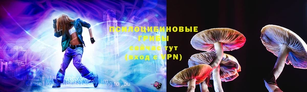 мдпв Волоколамск