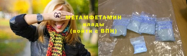прущие грибы Волосово