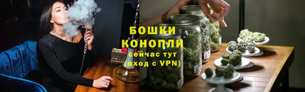 прущие грибы Волосово