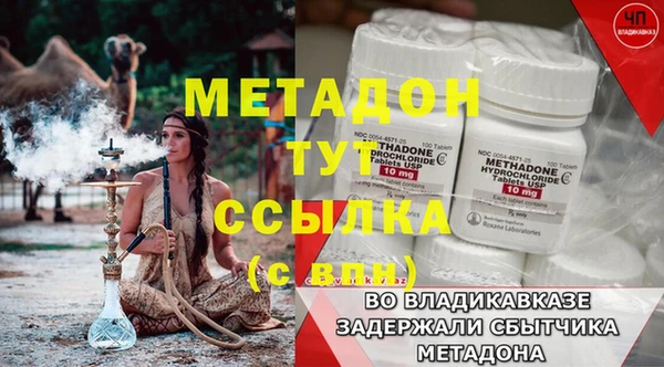 прущие грибы Волосово