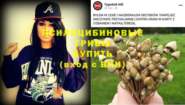 прущие грибы Волосово