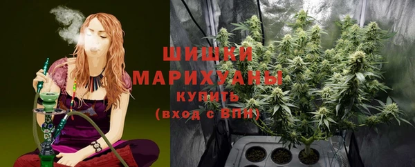 прущие грибы Волосово