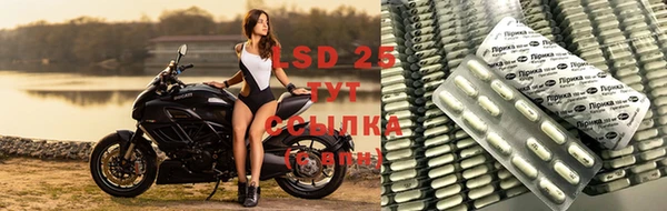 мдпв Волоколамск