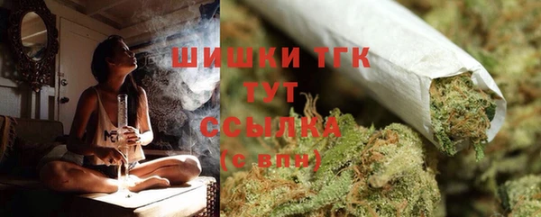 мдпв Волоколамск